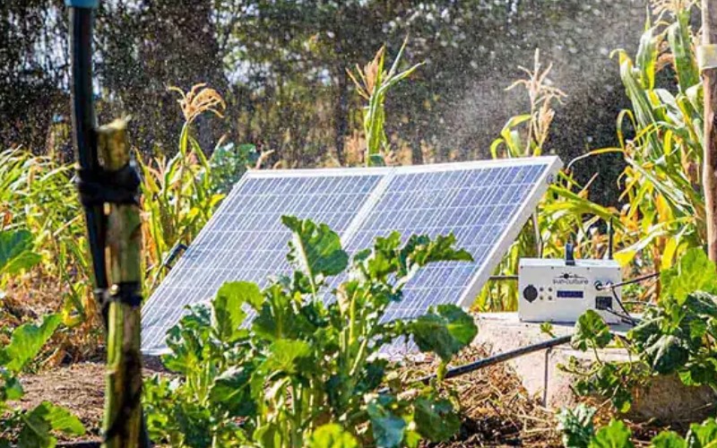 Solar irrigation pump